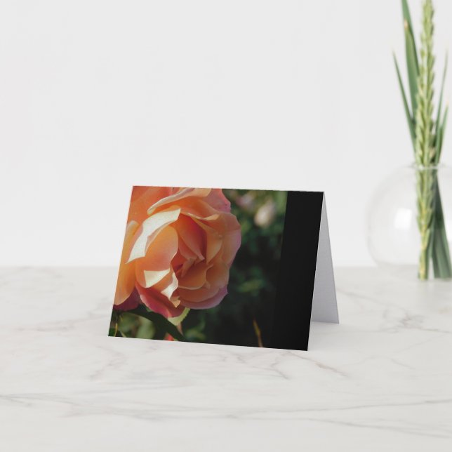 Single Rose Fine Art Minimalist Note Cards (Front)