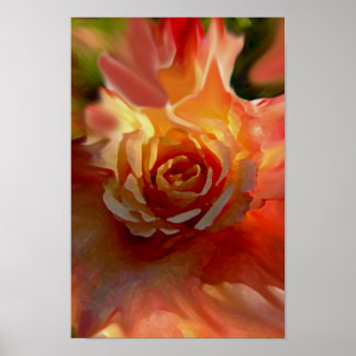 Single Rose Poster