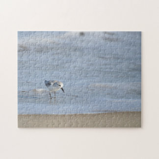 Single Sandpiper walking on beach Jigsaw Puzzle