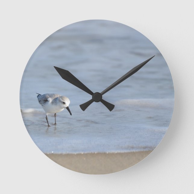 Single Sandpiper walking on beach  Round Clock (Front)