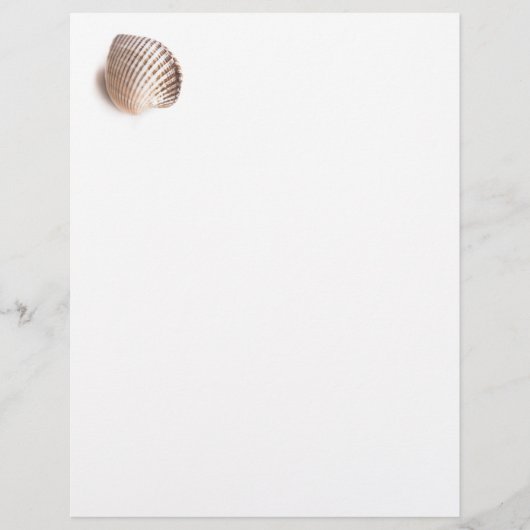 Single seashell (Front)