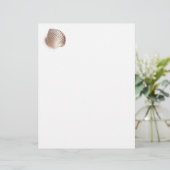 Single seashell (Standing Front)