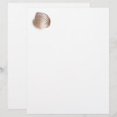 Single seashell (Front/Back)