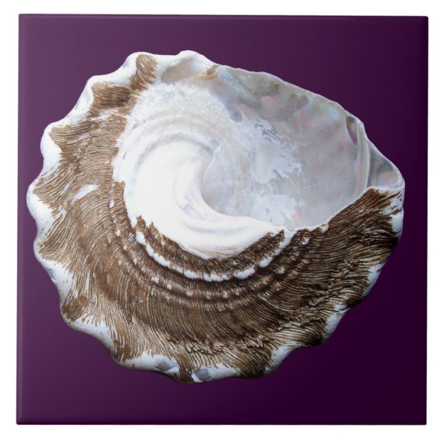 Single Shell tile (Front)
