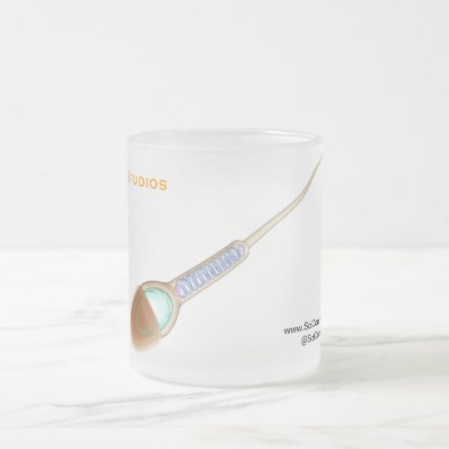 Single Sperm Cell Frosted Glass Coffee Mug