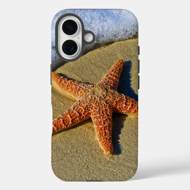 Single Starfish on Beach Case-Mate iPhone Case (Back)