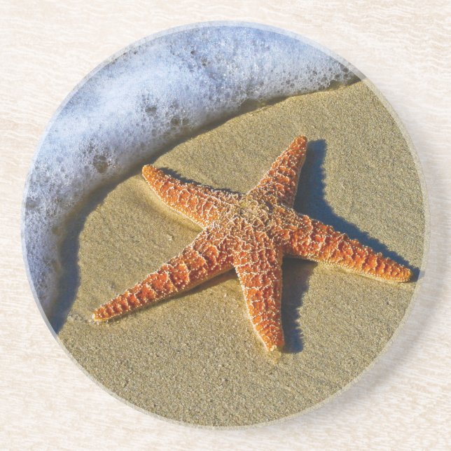 Single Starfish on Beach Coaster (Front)