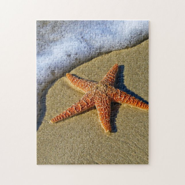 Single Starfish on Beach Jigsaw Puzzle (Vertical)