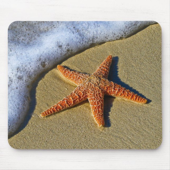 Single Starfish on Beach  Mouse Pad (Front)