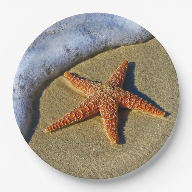 Single Starfish on Beach Paper Plates (Front)