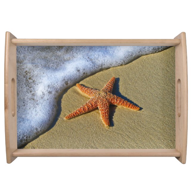 Single Starfish on Beach Serving Tray (Front)