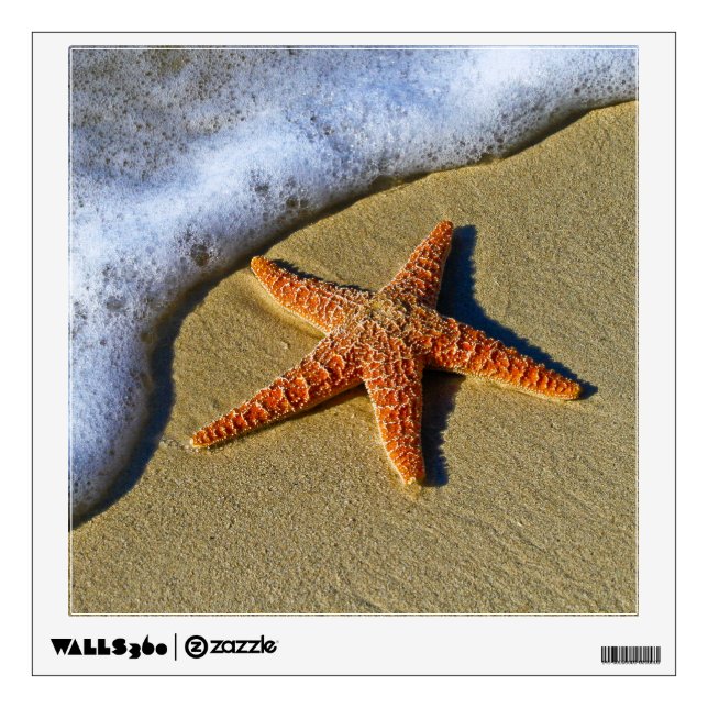 Single Starfish on Beach Wall Decal (Front)