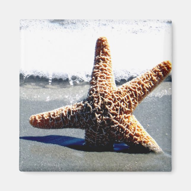 Single Starfish Washed Ashore Magnet (Front)