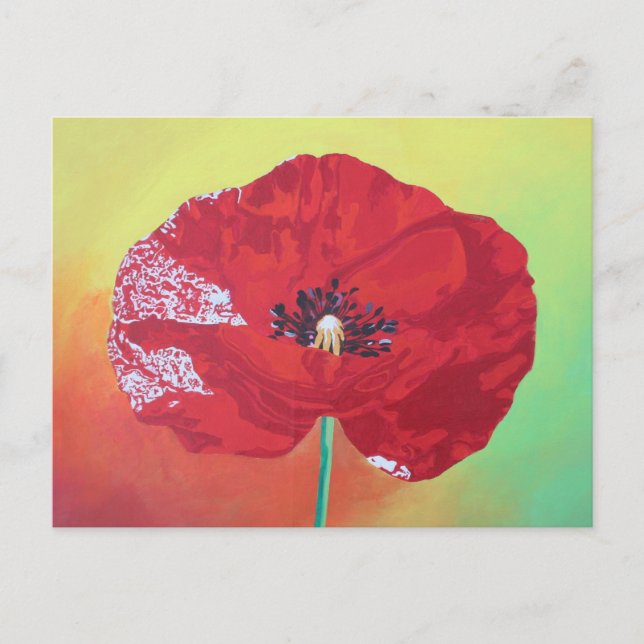 Single Stem Poppy On Red Green And Orange Backgrou Postcard (Front)