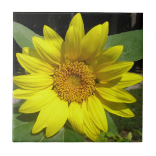 Single Sunflower Ceramic Tile