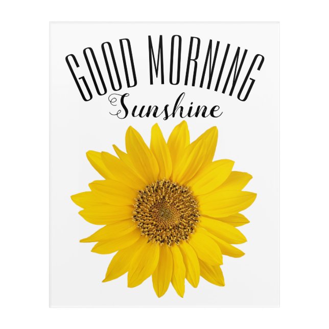Single Sunflower Good Morning Sunshine Acrylic Print (Front)