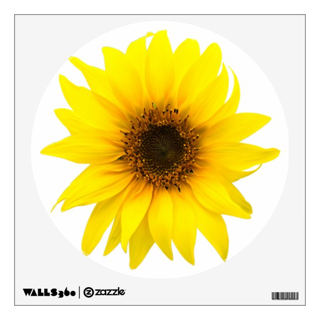 Single sunflower wall decal (Front)