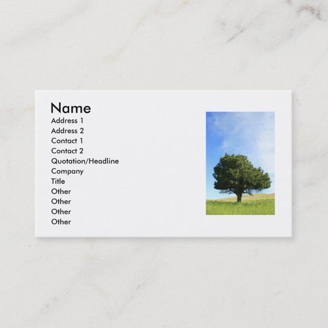 Single Tree Business Card (Front)