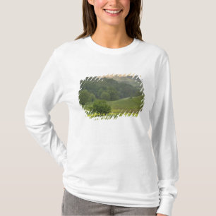 Single tree in agricultural farm field, Tuscany, T-Shirt