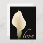 Single white calla lily (Front/Back)