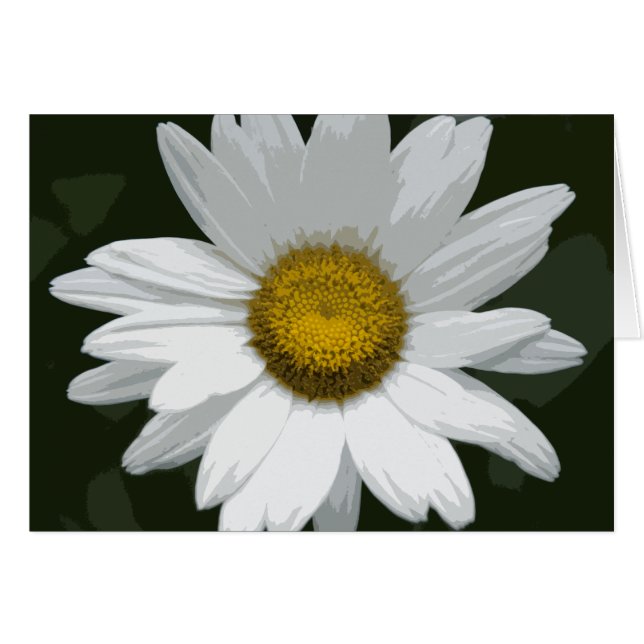 Single White Daisy Cards (Front Horizontal)