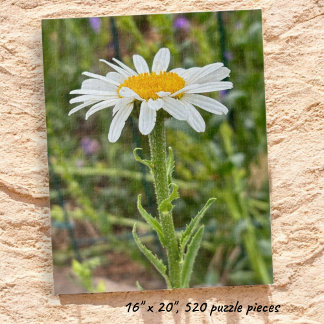 Single White Daisy Floral Close-Up Photograph Jigsaw Puzzle