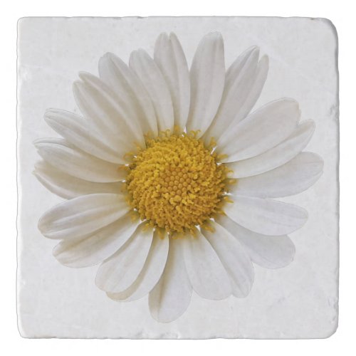 Single White Daisy Flower Trivet
