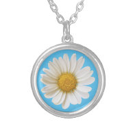 Single White Daisy on Sky Blue