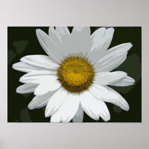 Single White Daisy Poster