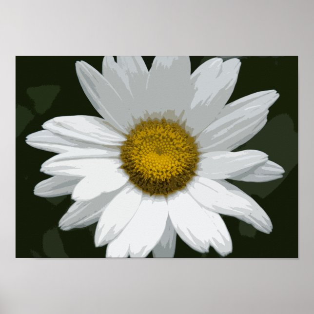 Single White Daisy Poster (Front)