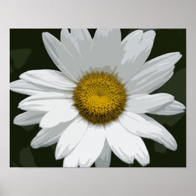 Single White Daisy Poster (Front)