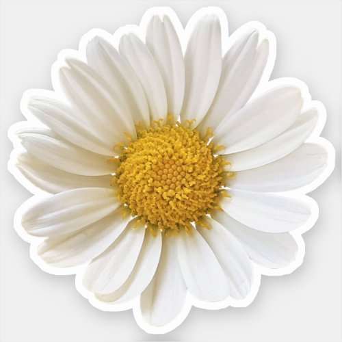 Single White Daisy Sticker