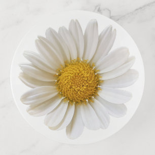 Single White Daisy Trinket Tray