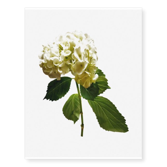Single White Hydrangea Temporary Tattoos (Front)