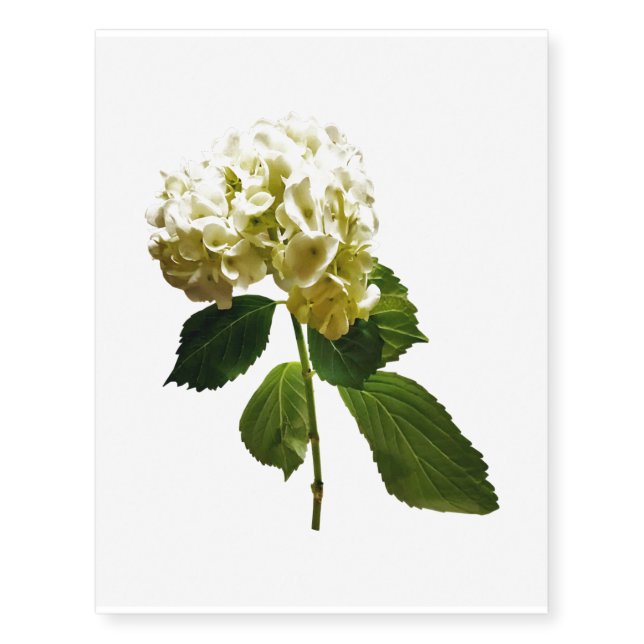 Single White Hydrangea Temporary Tattoos (Front)
