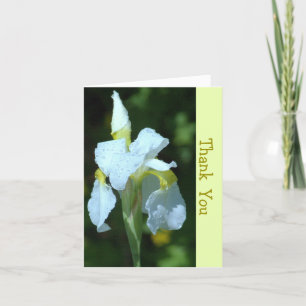 SINGLE WHITE IRIS WITH RAINDROPS CARD