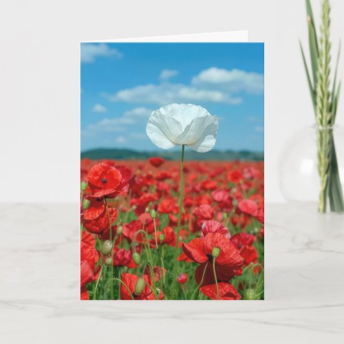Single White Poppy in a Red Poppy Field Card