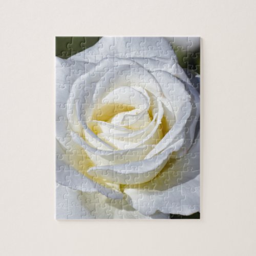 Single white rose blossoms jigsaw puzzle