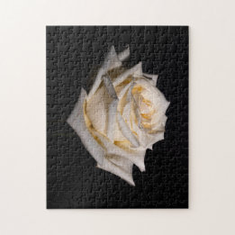 Single White Rose Jigsaw Puzzle