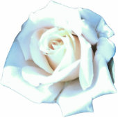 Single White Rose Key Chain  Statuette (Front)