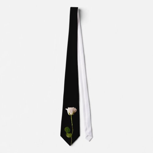 Single white rose on a black background neck tie