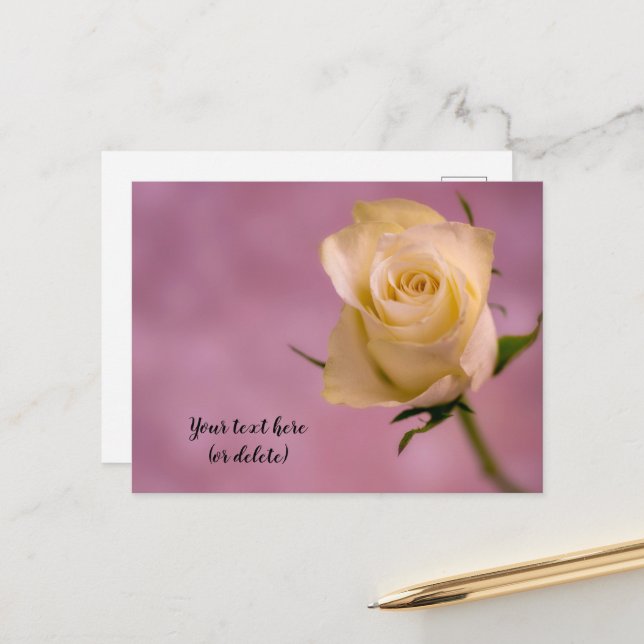 Single White Rose Postcard (Front/Back In Situ)