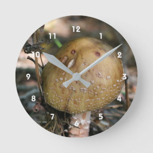 Single Wild Brown Mushroom Nature Round Clock