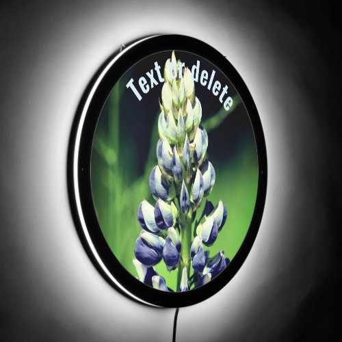 Single Wild Purple Lupine Flower Personalized LED Sign