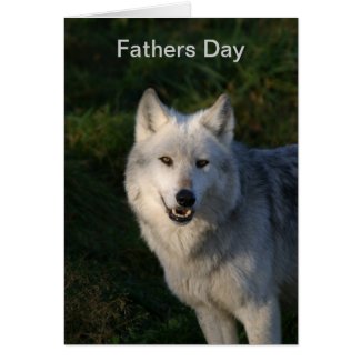 Single Wolf Fathers Day Card