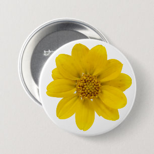 Single Yellow Centered Wildflower Photograph Pinback Button