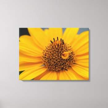 Single Yellow Flower Close Up Canvas Print by StormythoughtsGifts at Zazzle