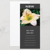 single yellow lily flower. (Front/Back)