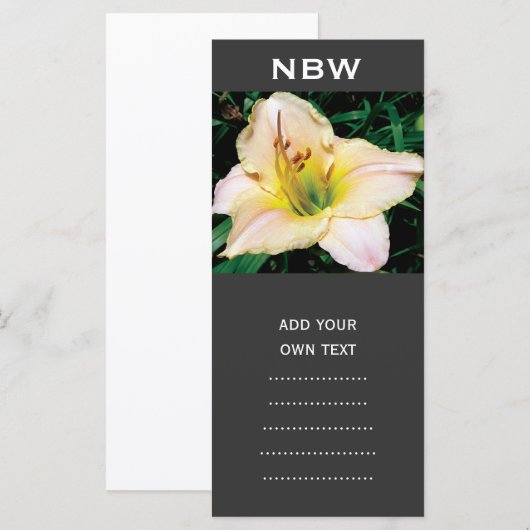 single yellow lily flower. (Front/Back)