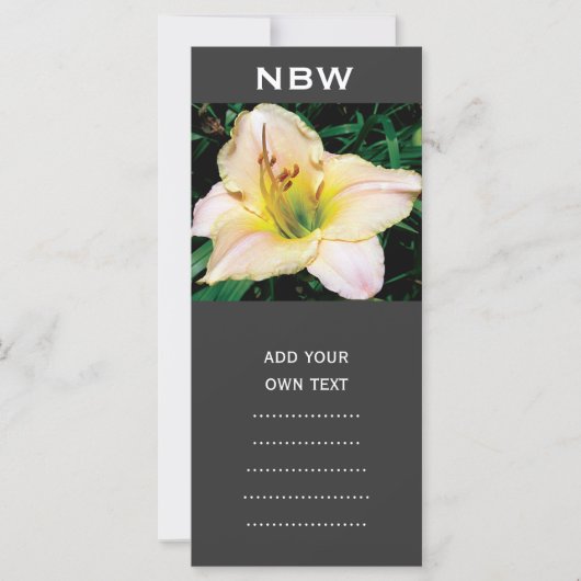 single yellow lily flower. (Front)